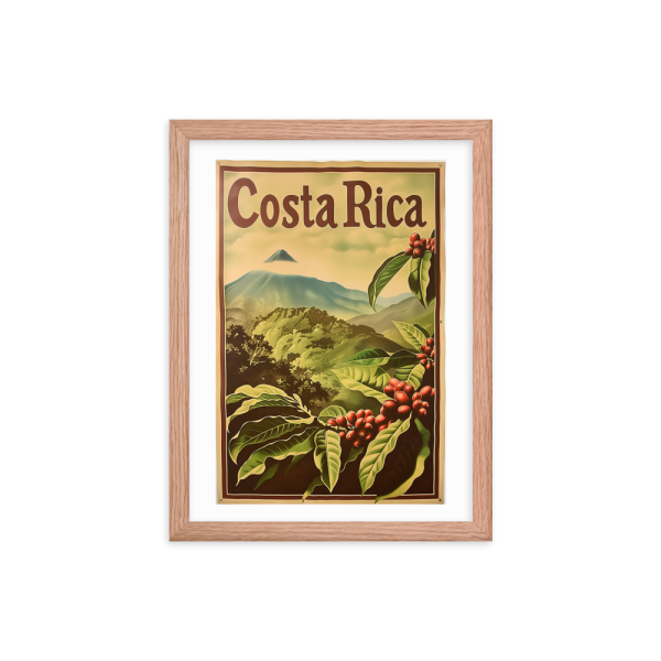 Caféiers du Volcan Arenal