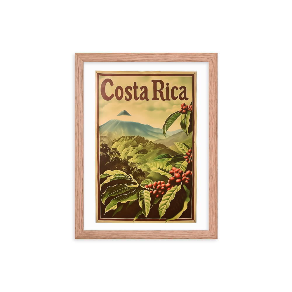 Caféiers du Volcan Arenal