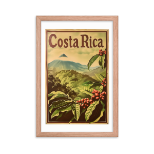 Arenal Volcano Coffee Plants