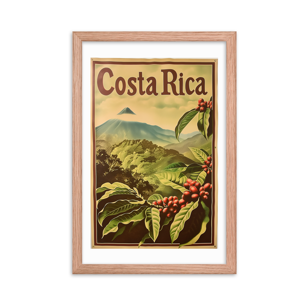 Caféiers du Volcan Arenal