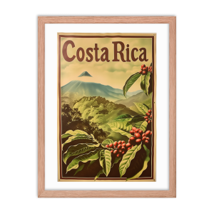 Arenal Volcano Coffee Plants