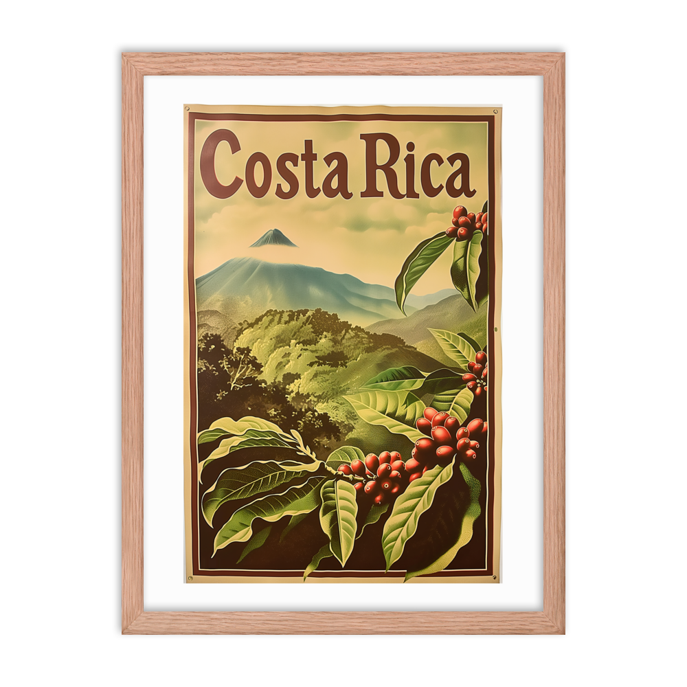 Caféiers du Volcan Arenal