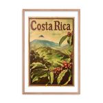 Caféiers du Volcan Arenal