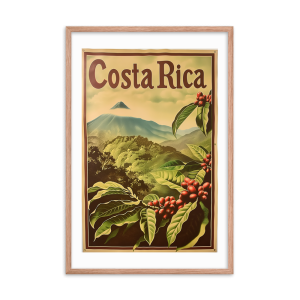 Arenal Volcano Coffee Plants