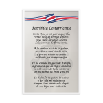 Patriótica Costarricense