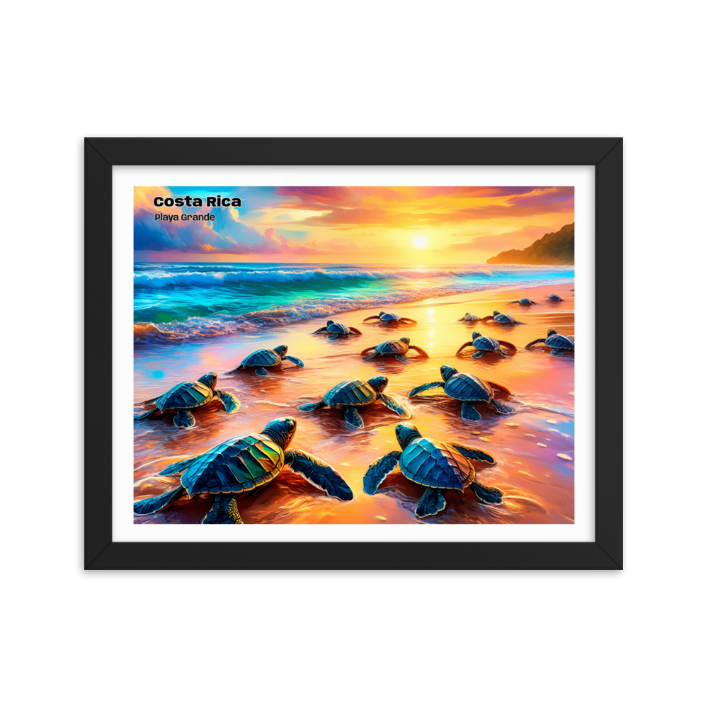 Tortue de Playa Grande - Costa Rica