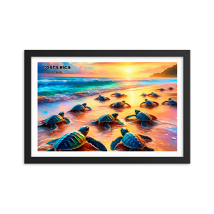 Playa Grande Turtle - Costa Rica