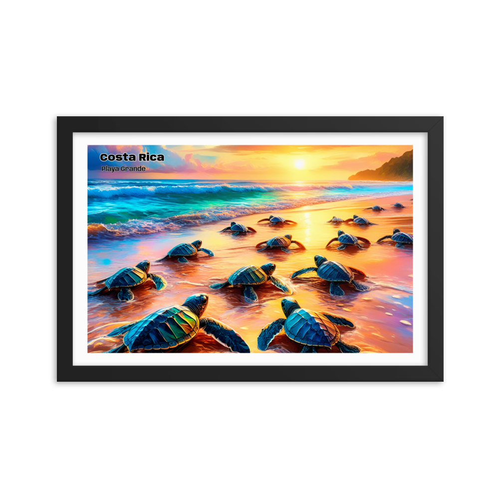 Tortue de Playa Grande - Costa Rica