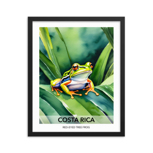 Red-Eyed Tree Frog