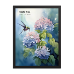 Kolibri und Hortensien Costa Rica