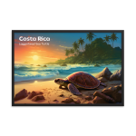 Costa Rica Tortuga boba