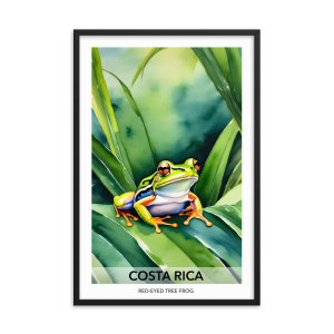Red-Eyed Tree Frog