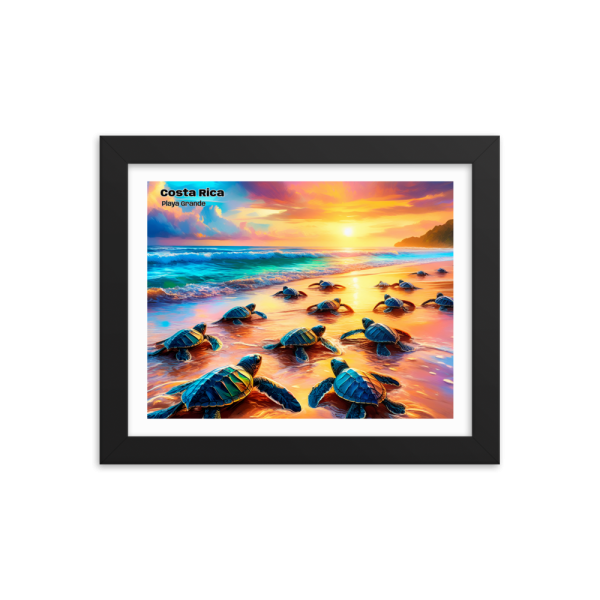 Tortue de Playa Grande - Costa Rica