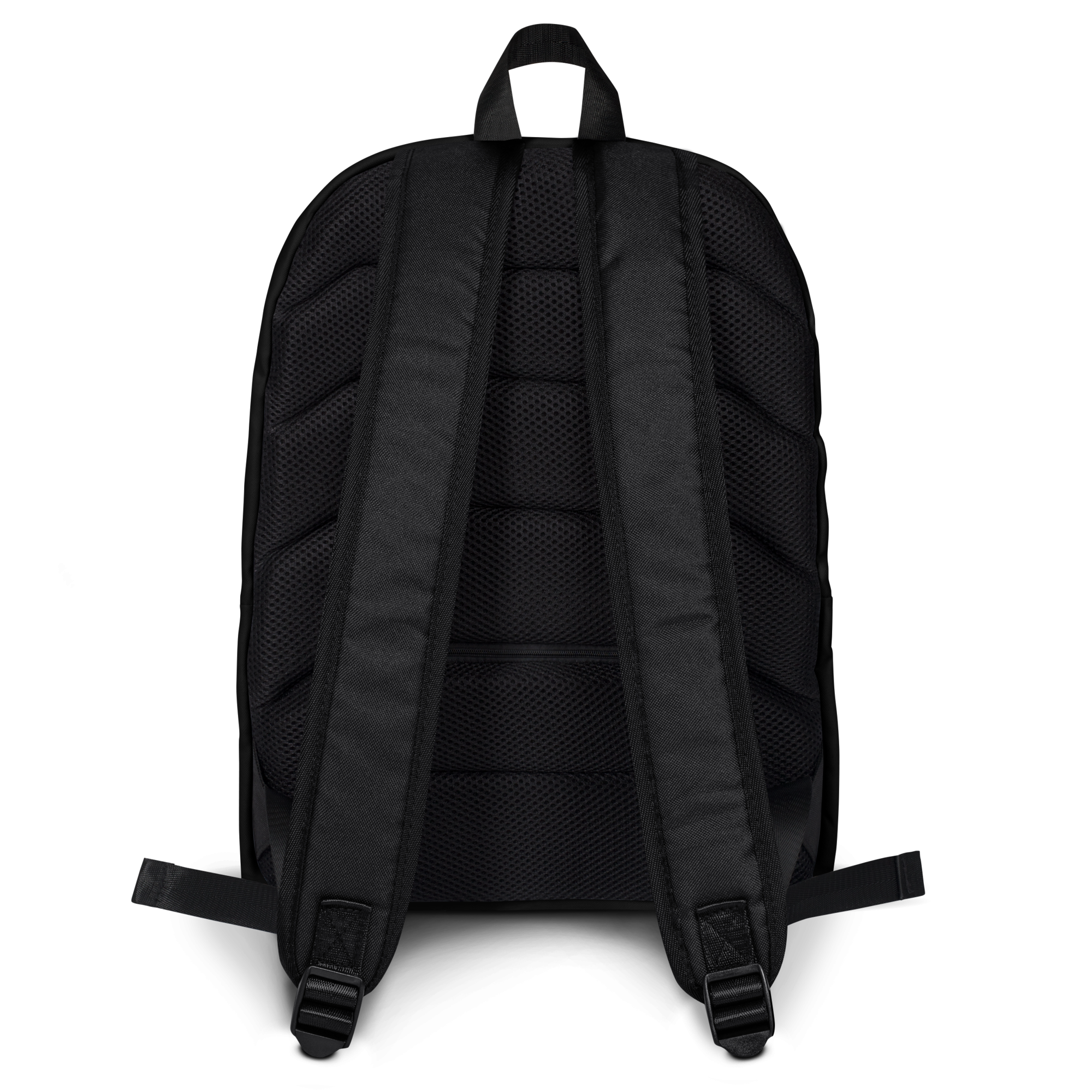 F506 Costa Rica Backpack Back